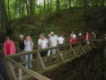 /album/diverse-billeder-fra-vore-ture/landstrygerne-v-skovbro-jpg2/